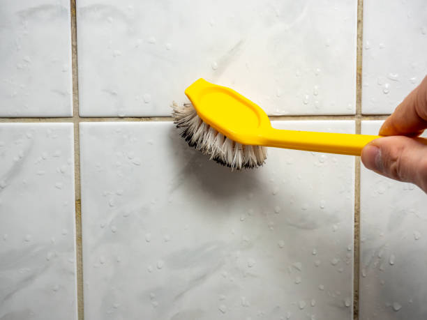Best Commercial Mold Removal  in Selbyville, DE