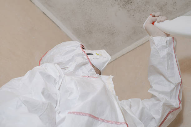 Best Local Mold Removal Service  in Selbyville, DE