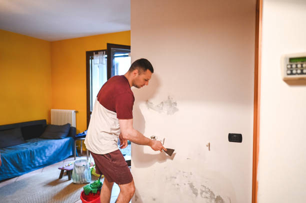 Best Mold Damage Repair  in Selbyville, DE